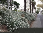 20141006 104138